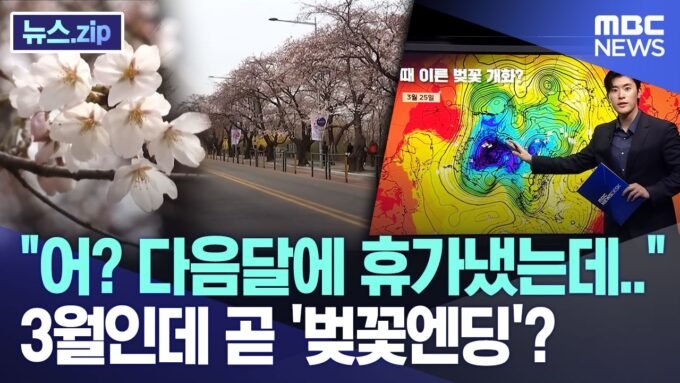 “어? 다음달에 휴가냈는데..”, 3월인데 곧 ‘벚꽃엔딩’? [뉴스.zip/MBC뉴스]