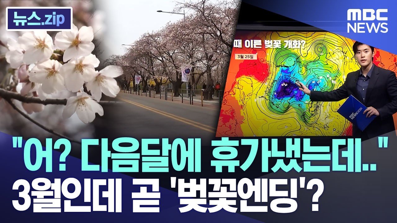 “어? 다음달에 휴가냈는데..”, 3월인데 곧 ‘벚꽃엔딩’? [뉴스.zip/MBC뉴스]